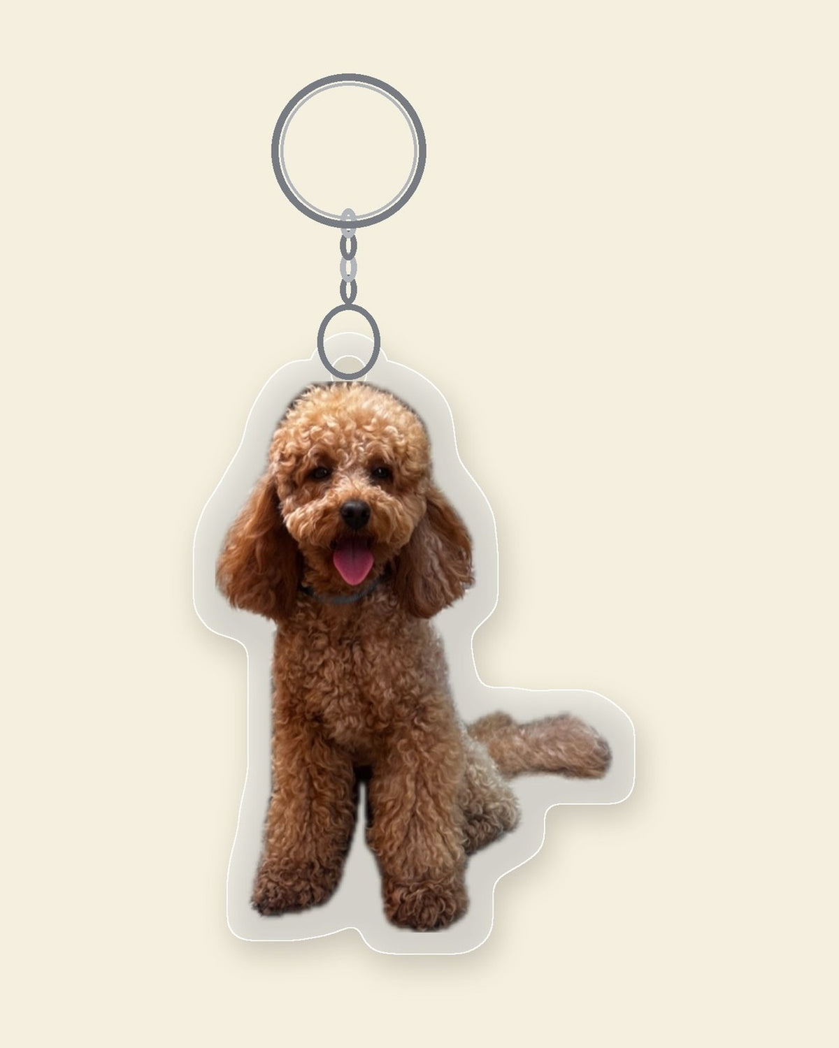 
Illustration of Leo as a Mini Me Charm, a clear acrylic keychain cut to his outline